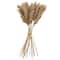 Dried Plant Pampas Natural Foliage with Long Stems